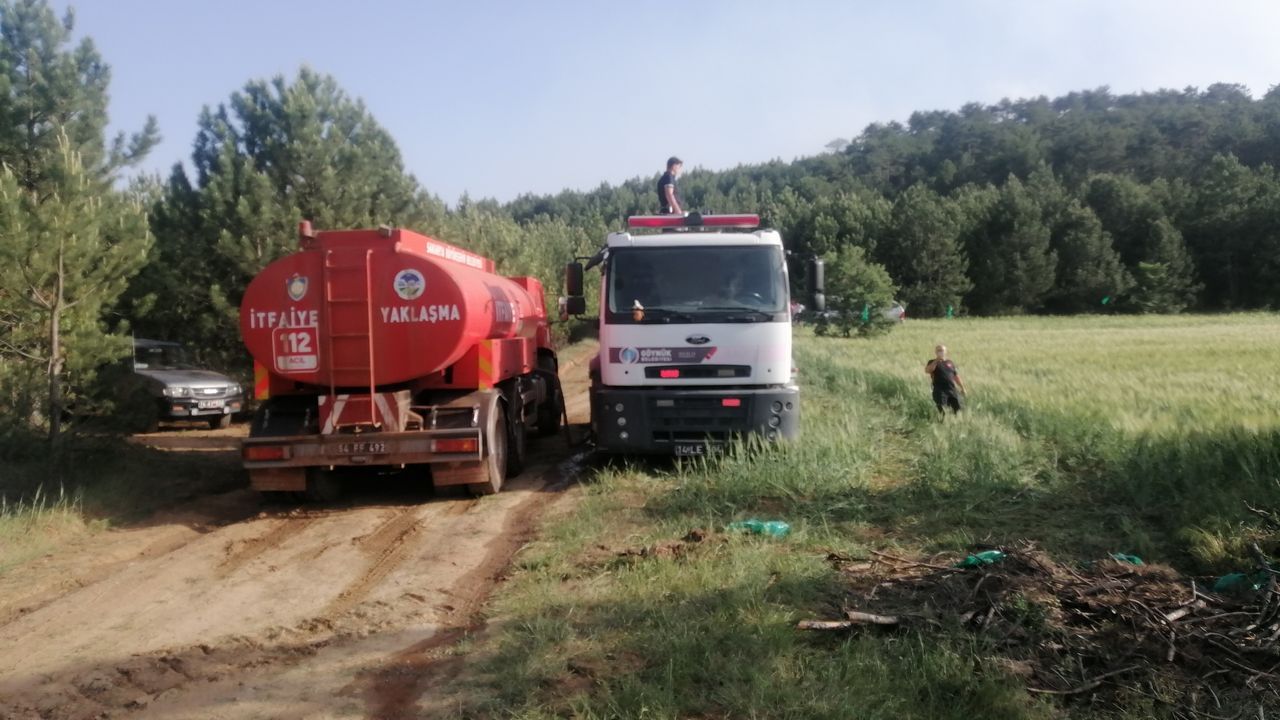 Bolu’daki orman yangını kontrol altında! 8 hektarlık çam zarar gördü 7