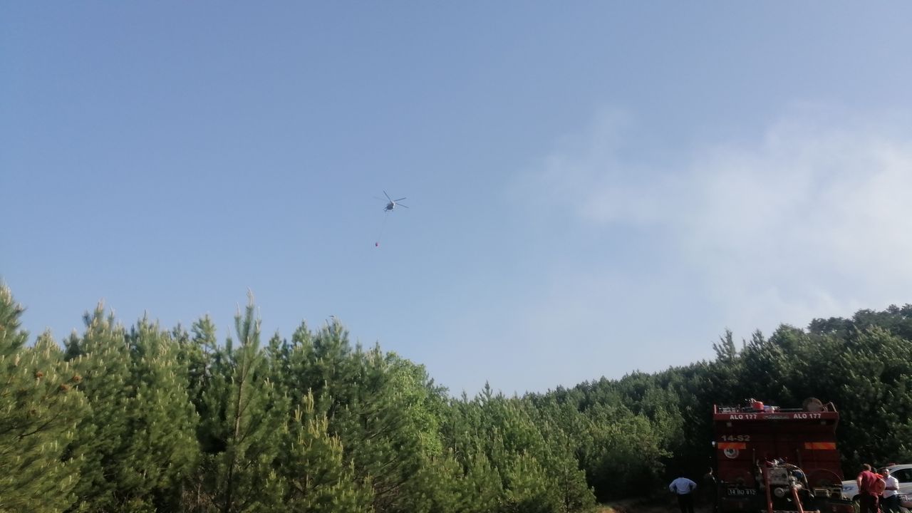 Bolu’daki orman yangını kontrol altında! 8 hektarlık çam zarar gördü 8