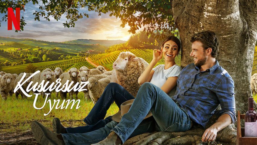 Netflix Türkiye'de 23-29 Mayıs haftası en çok izlenen dizi ve filmler belli oldu 16
