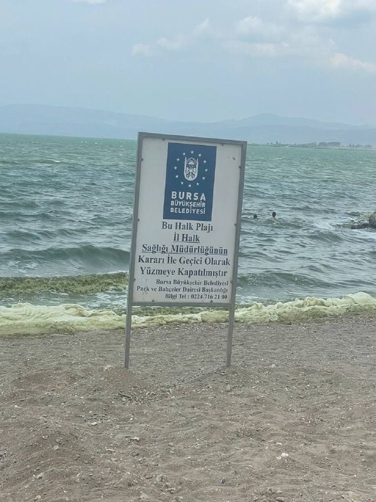 Türkiye'nin en büyüklerinden İznik Gölü'nde siyanobakteri istilası! Suya girmek yasaklandı 3