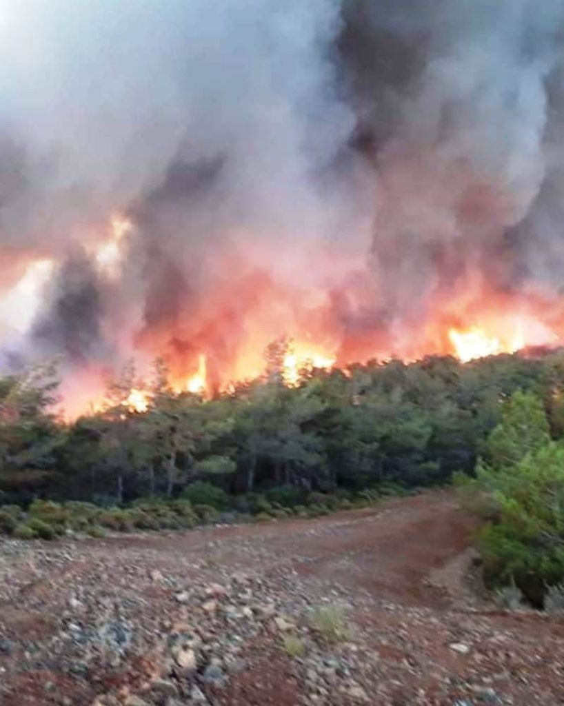 Marmaris'te orman yangının boyutu akşam karanlığında ortaya çıktı! Müdahale sürüyor 5