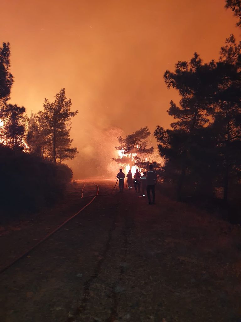 Marmaris'te orman yangının boyutu akşam karanlığında ortaya çıktı! Müdahale sürüyor 12