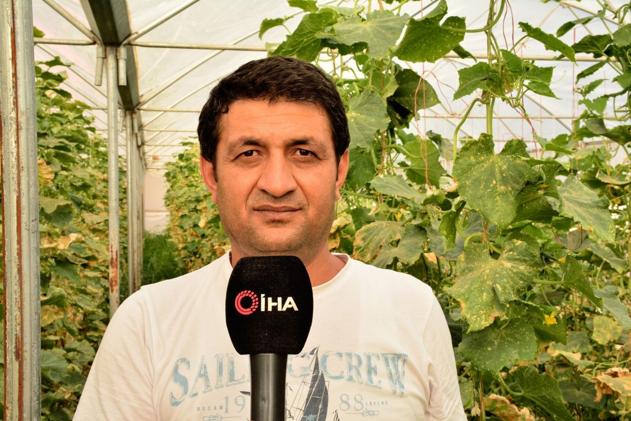 Meslek lisesinde tarım eğitimi 6