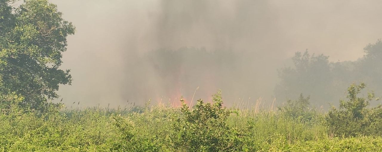 Çanakkale Biga'da orman yangını! Müdahale havadan ve karadan devam ediyor 5