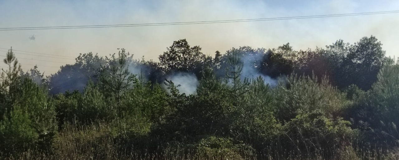Çanakkale Biga'da orman yangını! Müdahale havadan ve karadan devam ediyor 6