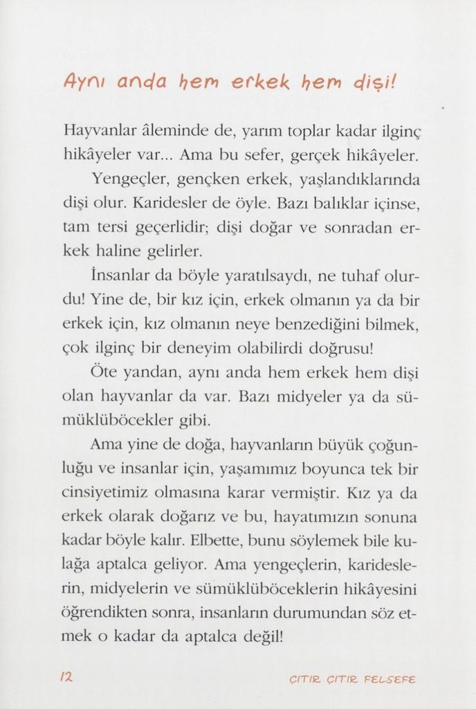 Cinsel taciz içerikli çocuk kitabı serisi Çıtır Çıtır Felsefe'nin 7 kitabı muzır bulundu 2