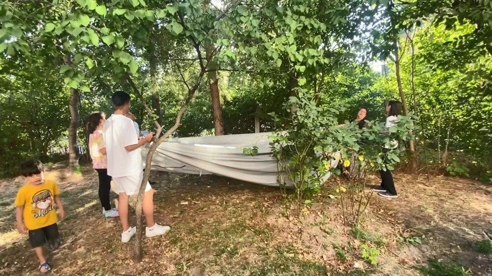 Bağcılar'da maymun şaşkınlığı: 'Gel kızım gel' diyerek muz uzattılar! 9