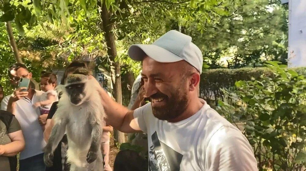 Bağcılar'da maymun şaşkınlığı: 'Gel kızım gel' diyerek muz uzattılar! 8