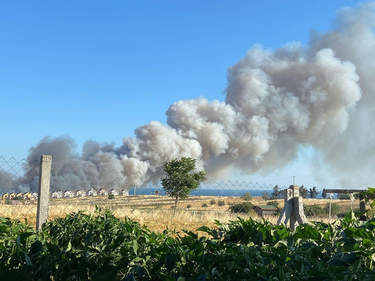 Silivri’de 150 dönümlük buğday tarlası alev alev yandı 3