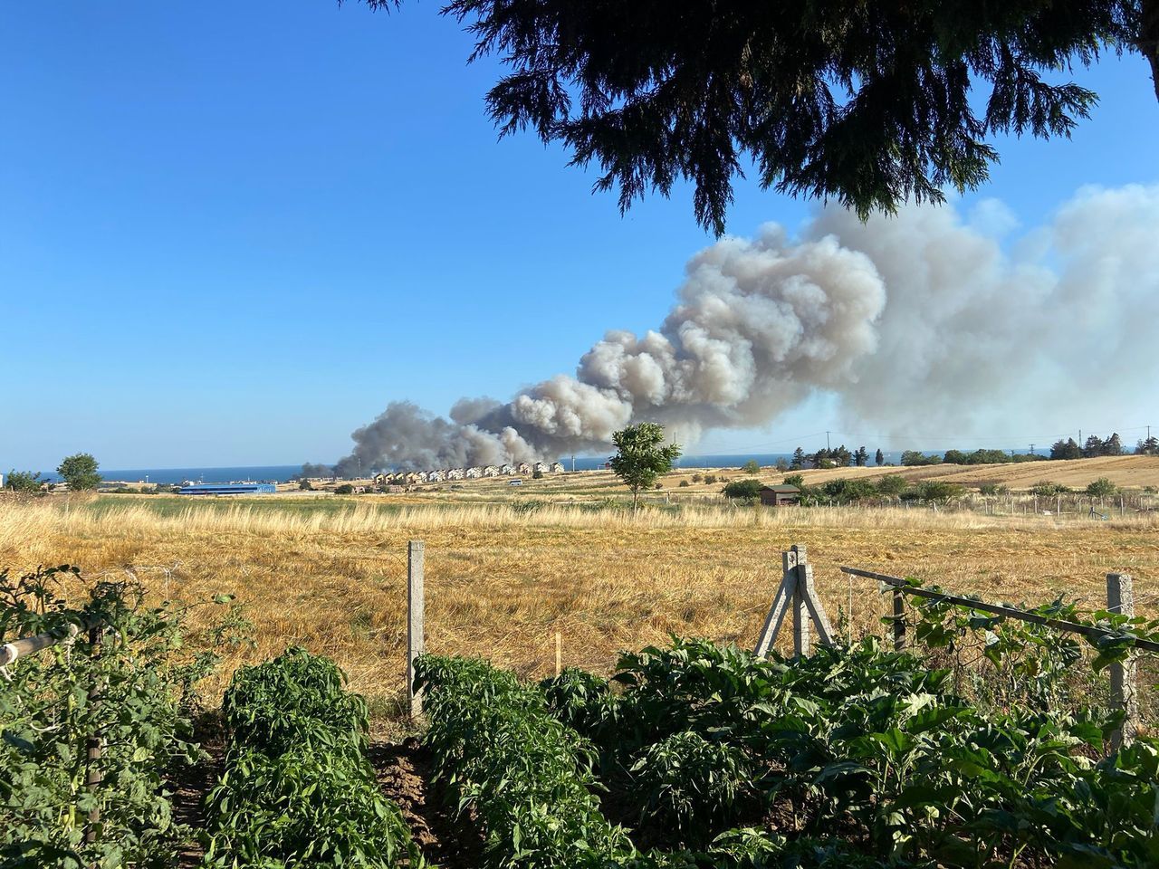 Silivri’de 150 dönümlük buğday tarlası alev alev yandı 4