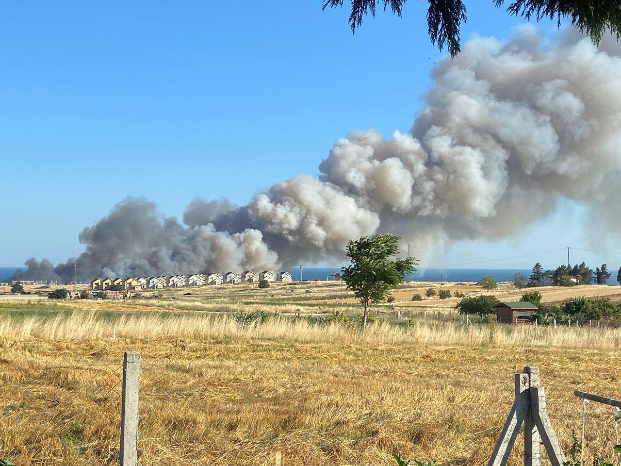 Silivri’de 150 dönümlük buğday tarlası alev alev yandı 5