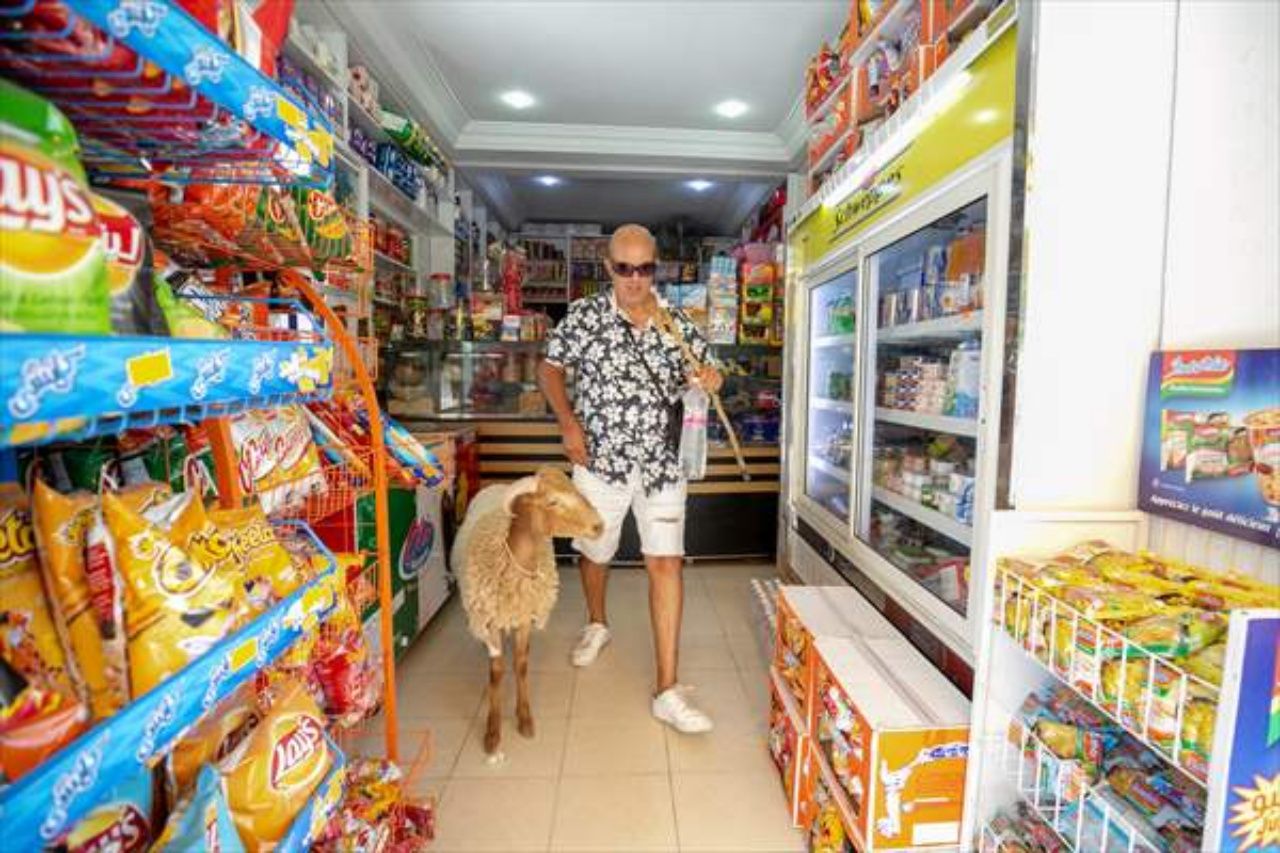 Kurban Bayramı’nda kesmek için aldığı koyunu yanından ayırmıyor 1
