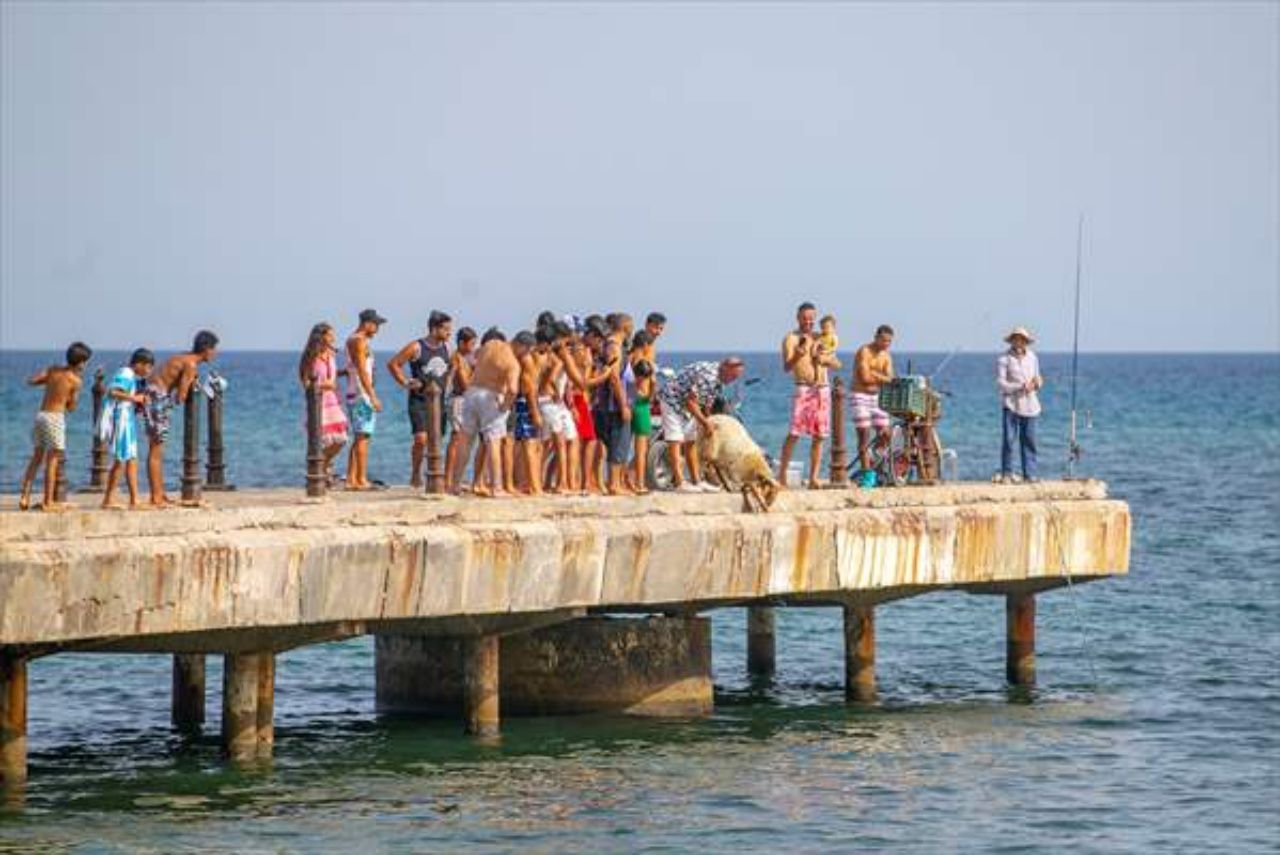 Kurban Bayramı’nda kesmek için aldığı koyunu yanından ayırmıyor 2