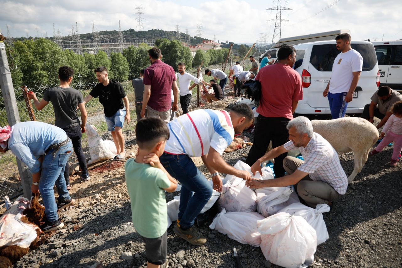 Kurbanlıklarını alan yol kenarına koştu: Kaçak kesim yapanlara ceza yağdı! 2