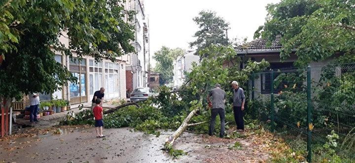 Türkiye'de sağanak yağış hayatı felç etti: Bilecik'te bir kadın hayatını kaybetti! 10