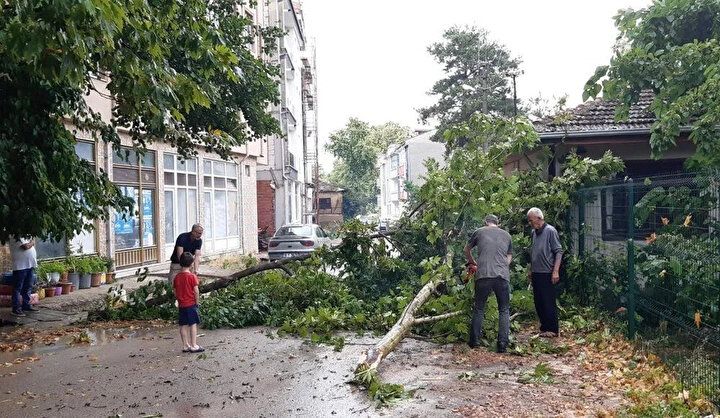 Türkiye'de sağanak yağış hayatı felç etti: Bilecik'te bir kadın hayatını kaybetti! 12