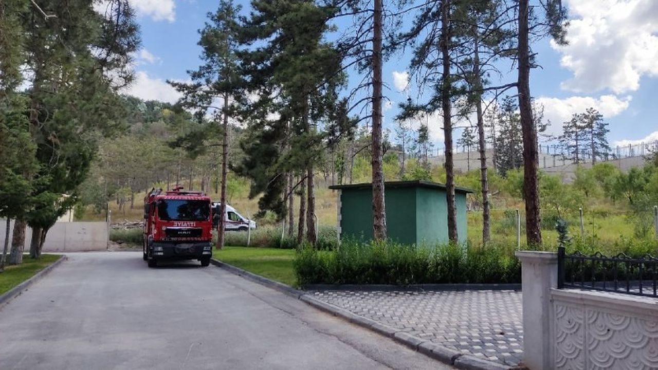 Mezarlıktan gelen kötü kokular acı gerçeği ortaya çıkardı 3