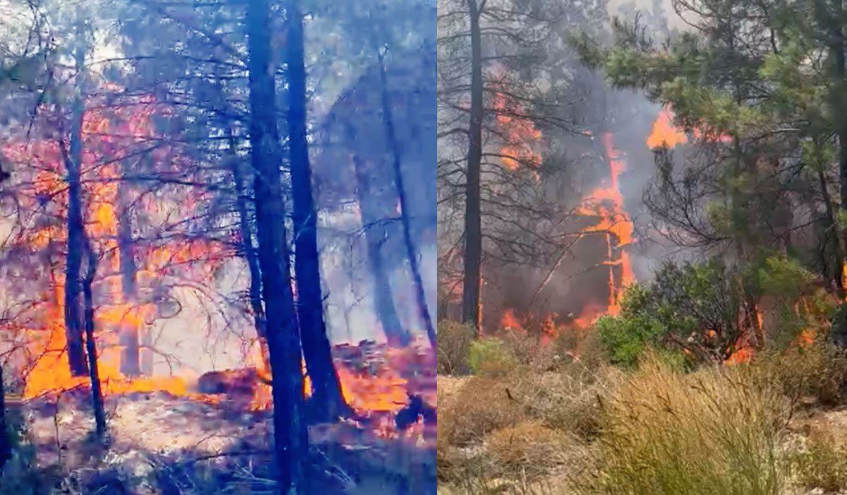 Datça'da orman yangını! Karayolu kapatıldı, evler tahliye edildi 2