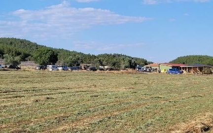 Vahşette yeni detaylar ortaya çıktı! Şoförü ile birlikte katledilen ünlü eğitimci Nazmi Arıkan'ın cinayet şüphelisi yakalandı 5