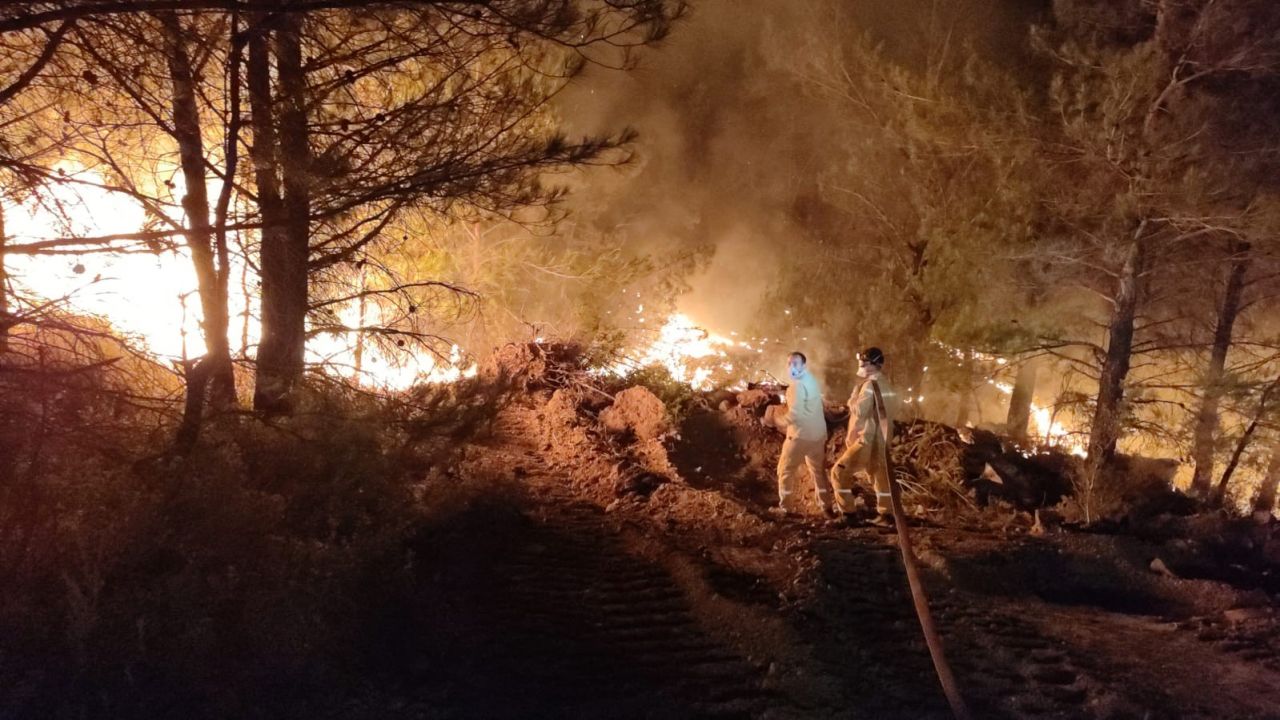 Datça’daki orman yangınında 2’nci gün: Havadan müdahale sürüyor 10