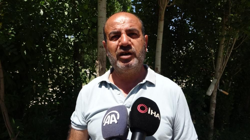 Muş Ovası’nın sevimli misafirleri leylekler, yavrularını uzun göçe hazırlıyor 2