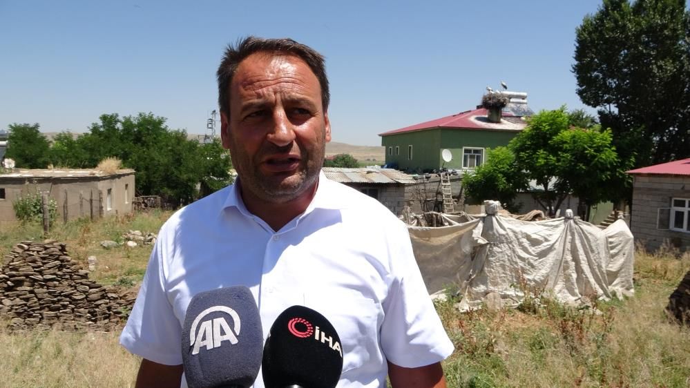 Muş Ovası’nın sevimli misafirleri leylekler, yavrularını uzun göçe hazırlıyor 3