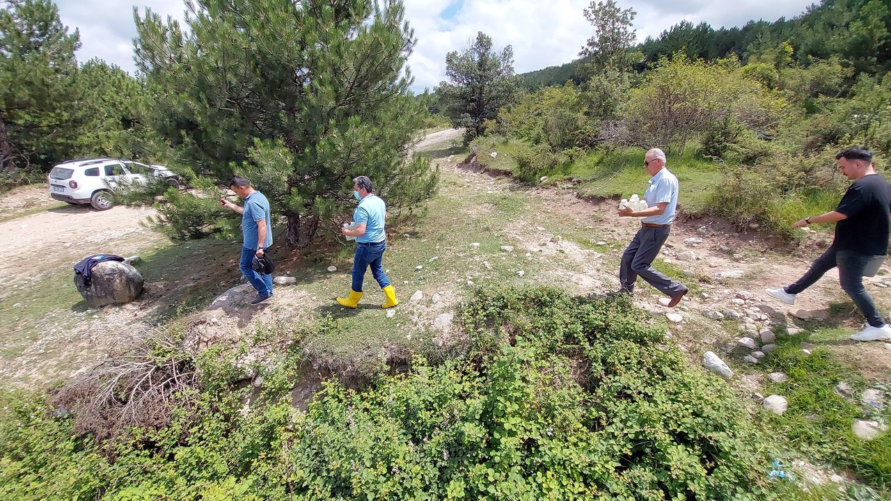 Bolu'da 30 çocuk ve 22 yetişkin zehirlendi! 10'u yoğun bakımda 8