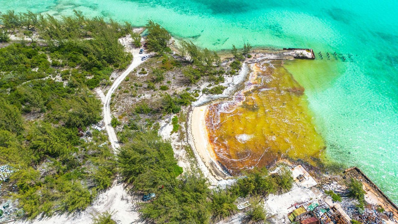 Bahamalar'da çevre felaketi! Denize 30 bin galon petrol sızdı 3