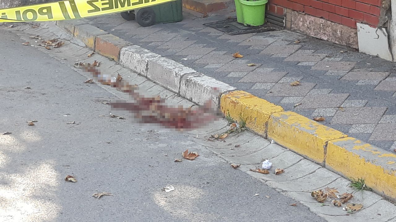 Eniştesi pusu kurdu, ablasının gözü önünde vuruldu 4