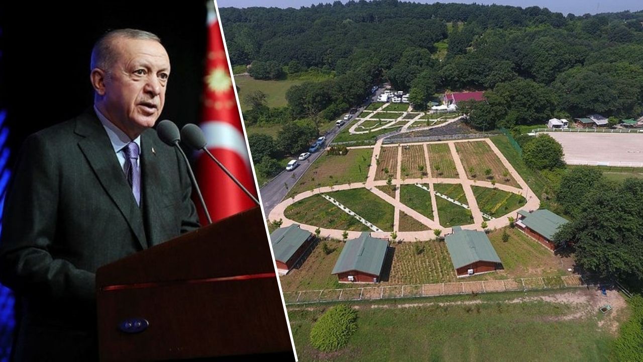 41 kere maşallah... Eyüpsultan'da 41 eserin kurdelesi bugün kesilecek: Cumhurbaşkanı Erdoğan da katılacak! 1