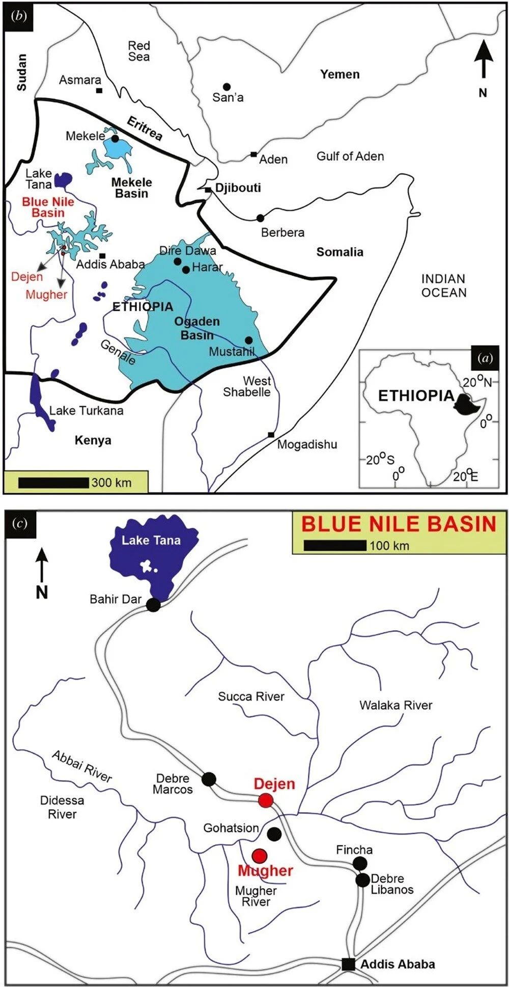 Afrika’da keşfedilen antik hayvana Zelenski'nin adı verildi! Nedeni bakın ne... 7