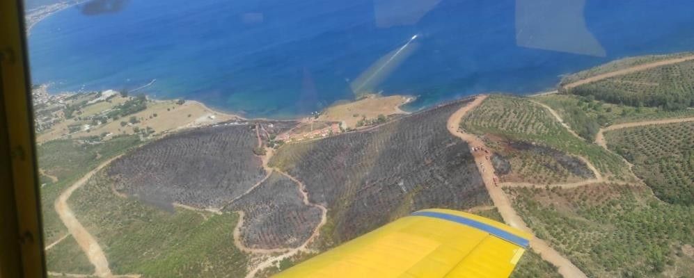 Seferihisar'daki her iki yangın da kontrol altında! 4