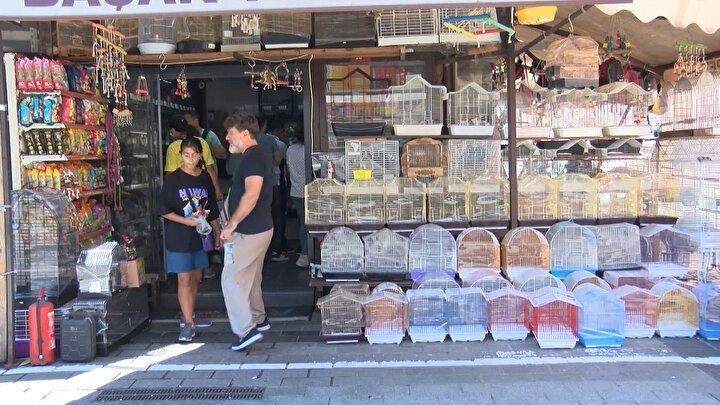 'Petshoplar kasaplar odasına bağlandı' tartışması hakkında flaş açıklama: Yanlış anlaşıldı! 1