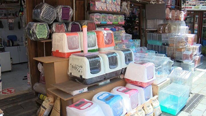 'Petshoplar kasaplar odasına bağlandı' tartışması hakkında flaş açıklama: Yanlış anlaşıldı! 8