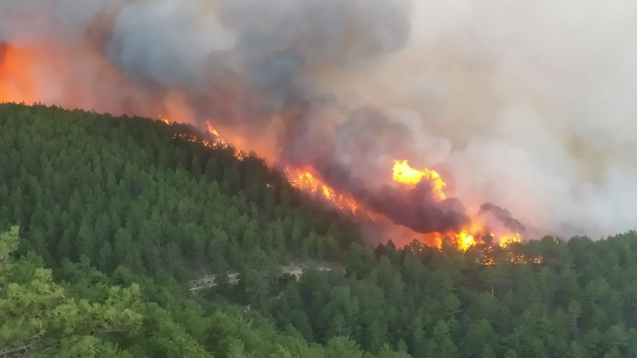 Kütahya'da orman yangını! Alevler geniş bir alanda etkili oluyor 5