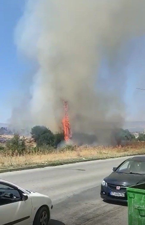 Örtü yangınında arı kovanları ve ağaçlar küle döndü 2
