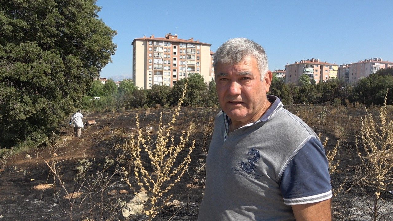 Örtü yangınında arı kovanları ve ağaçlar küle döndü 5