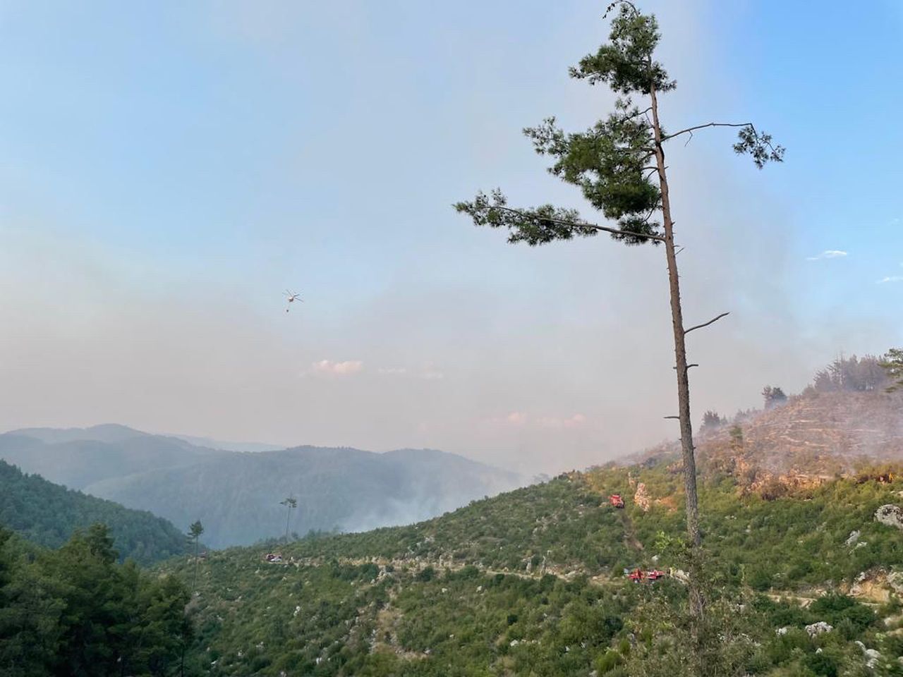 Burdur'da orman yangını! Karadan ve havadan müdahale ediliyor 5