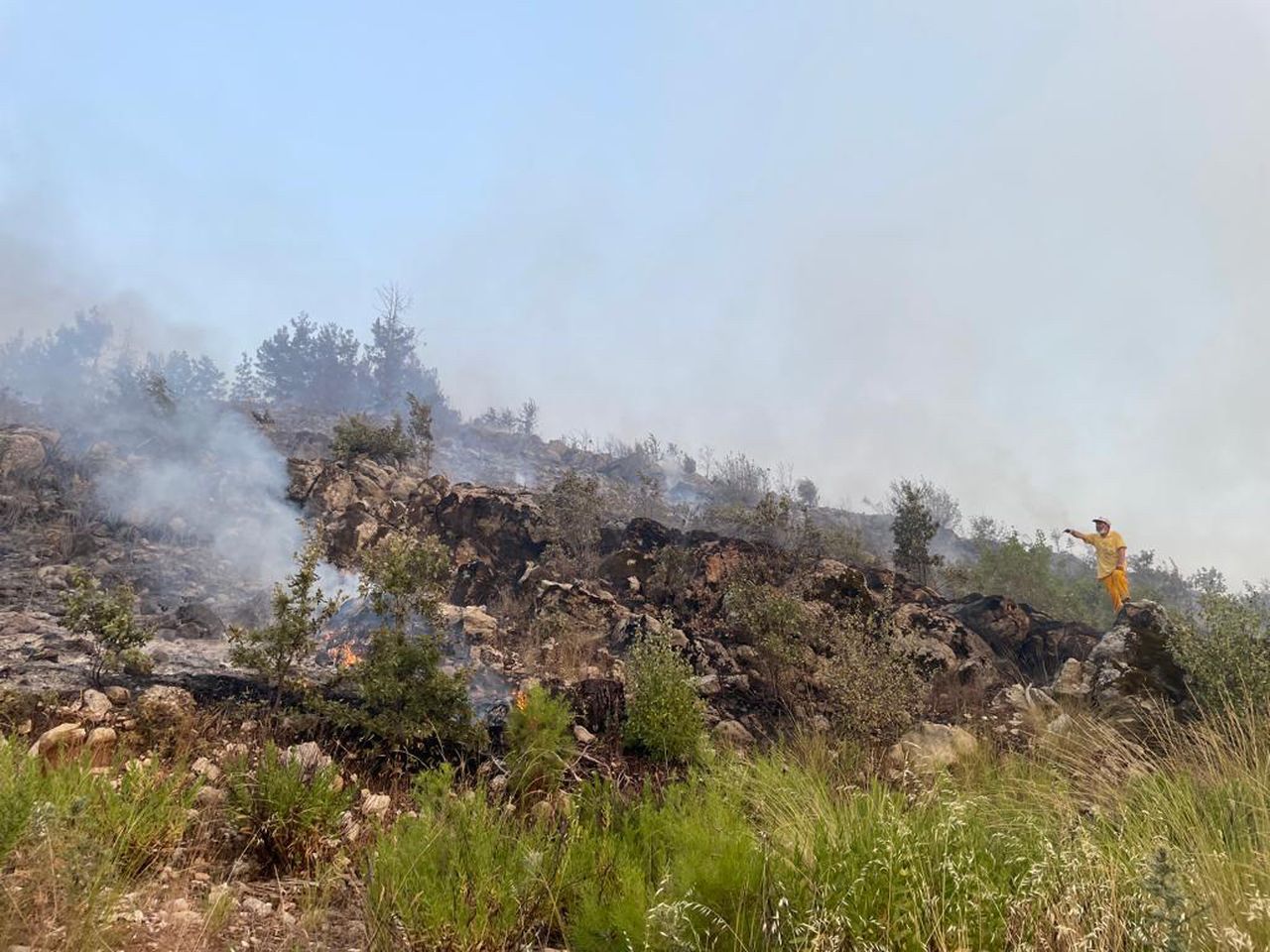 Burdur'da orman yangını! Karadan ve havadan müdahale ediliyor 7