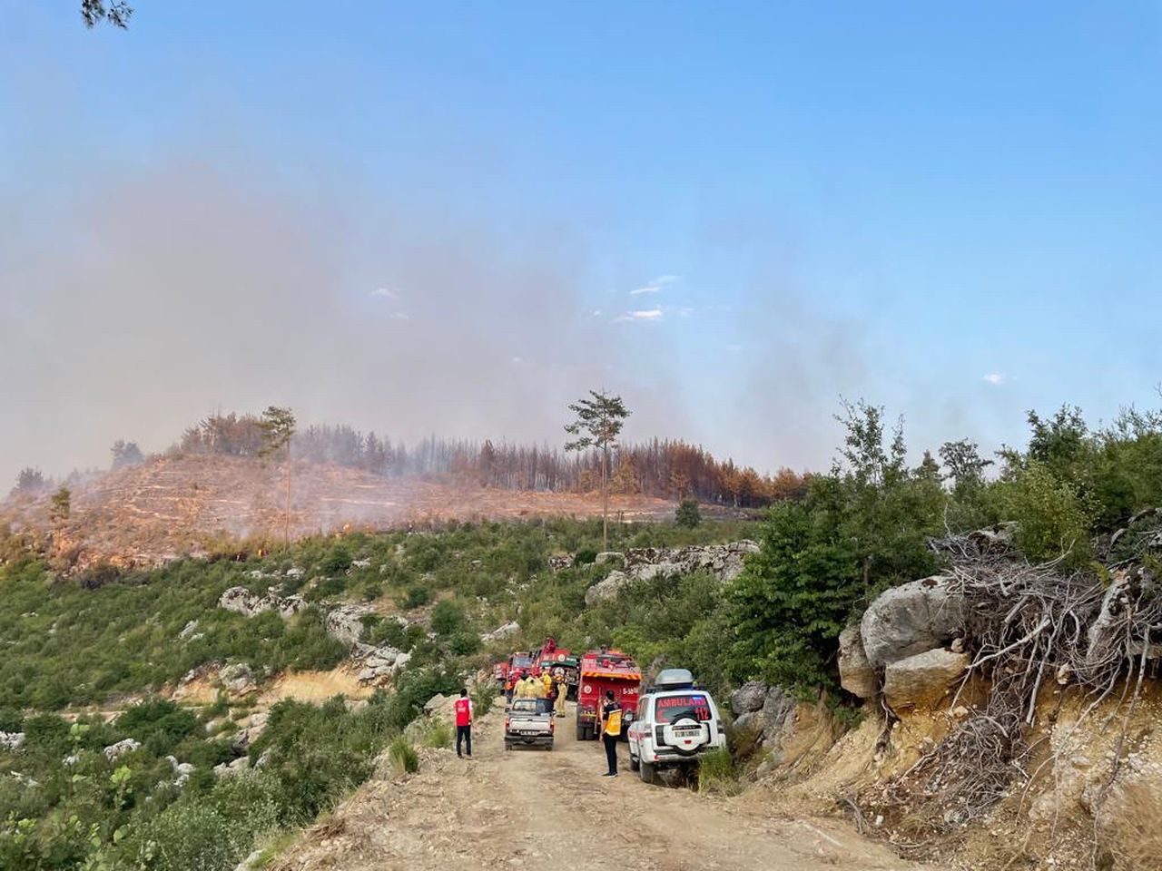 Burdur'da orman yangını! Karadan ve havadan müdahale ediliyor 8