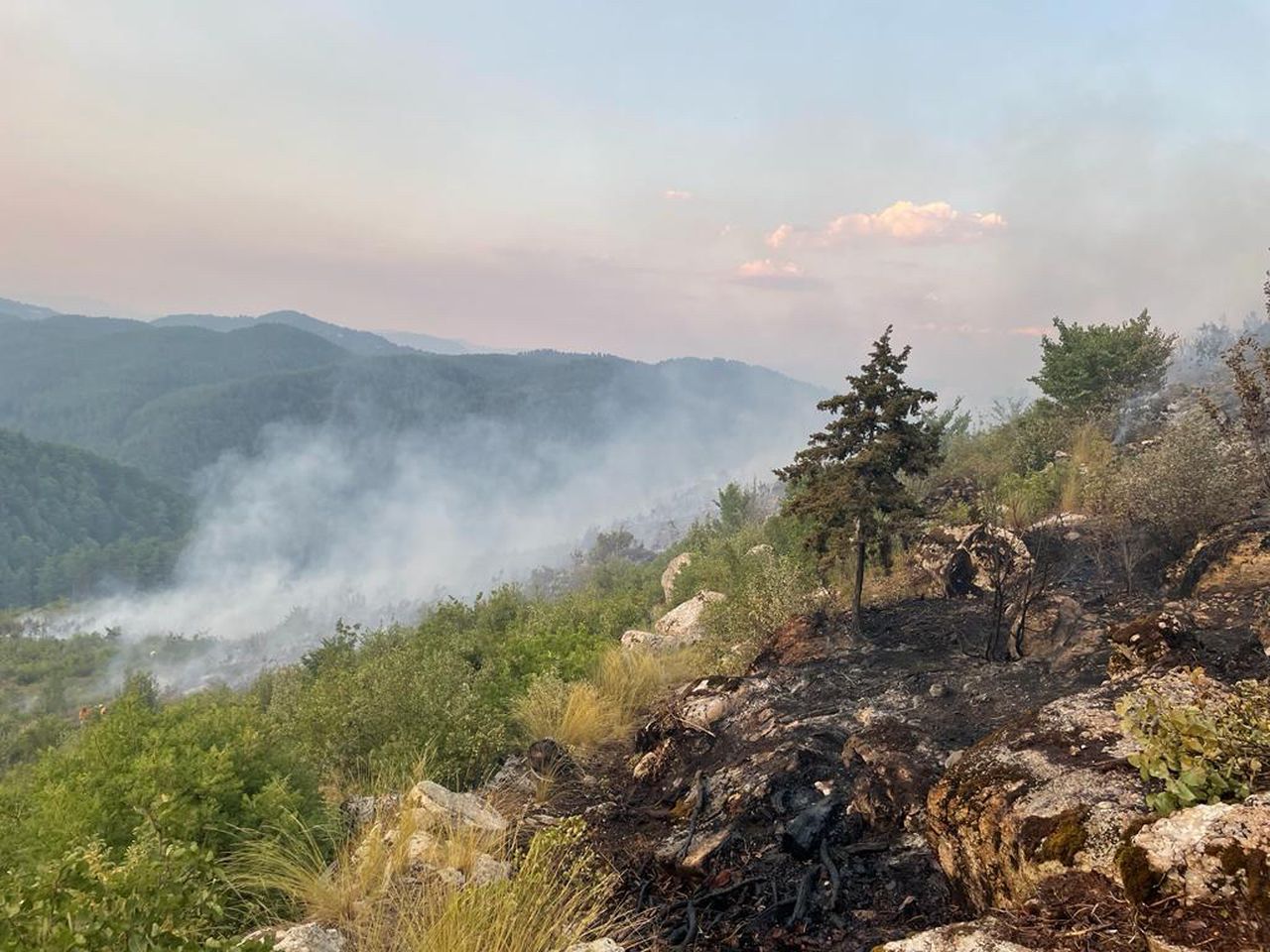 Burdur'da orman yangını! Karadan ve havadan müdahale ediliyor 9