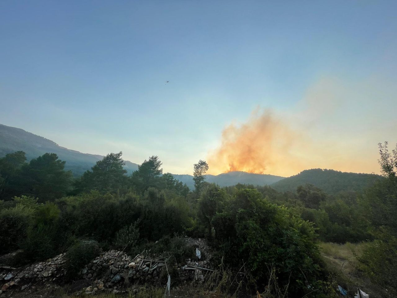 Burdur'da orman yangını! Karadan ve havadan müdahale ediliyor 1