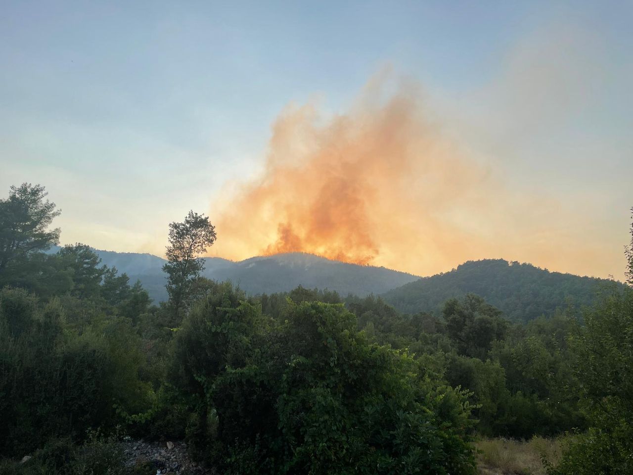Burdur'da orman yangını! Karadan ve havadan müdahale ediliyor 2