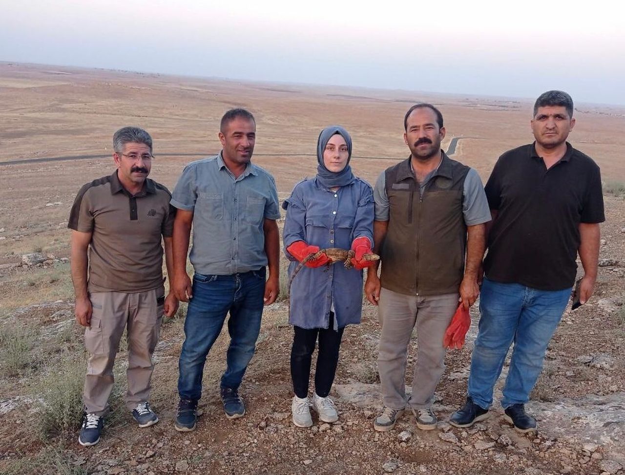 Şanlıurfa'da sarnıca düşen çöl varanı böyle kurtarıldı 3