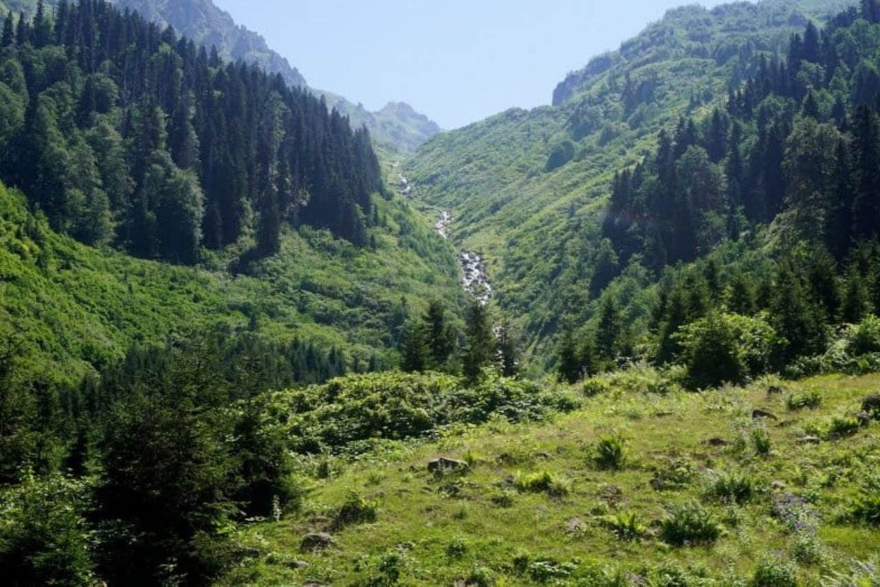 Yaylaları, şelaleleri ve lezzetleriyle Artvin'de görülmesi gereken yerler! 12