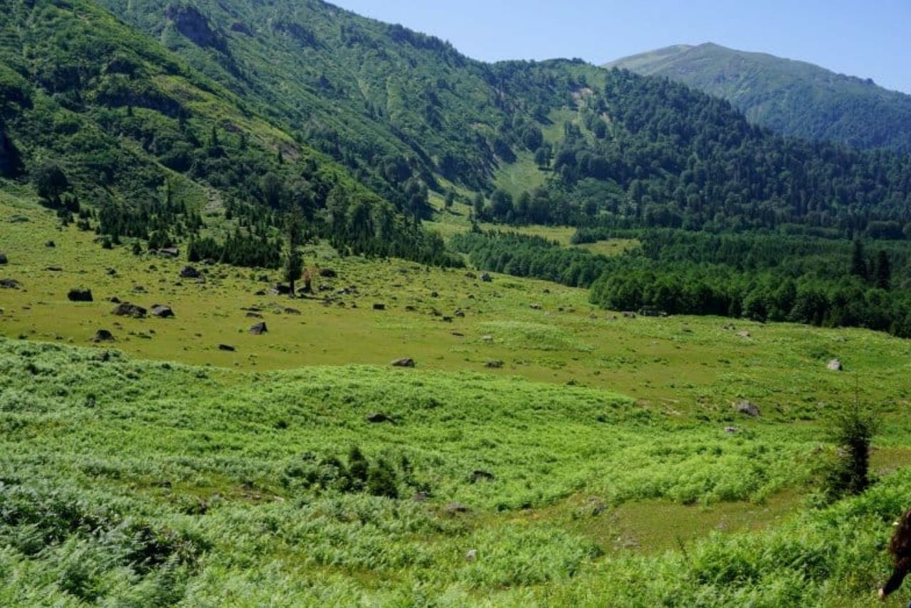 Yaylaları, şelaleleri ve lezzetleriyle Artvin'de görülmesi gereken yerler! 13