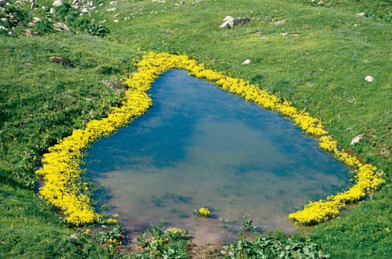 Yaylaları, şelaleleri ve lezzetleriyle Artvin'de görülmesi gereken yerler! 4