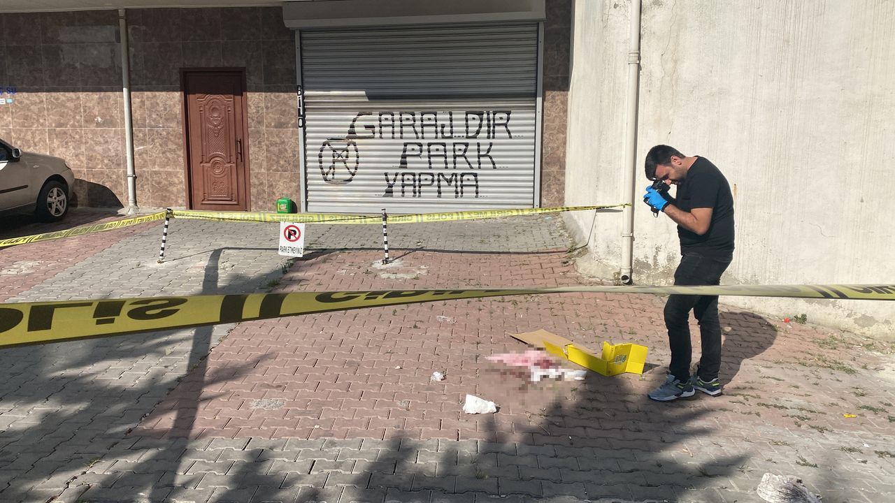 Genç kadın uçuşu olduğu gün pencereden düşmüştü! Kardeşi tutuklandı 2