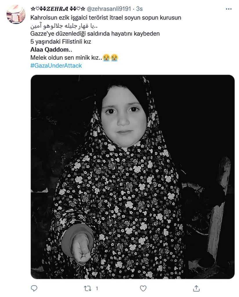 Milyonlar İsrail'in katlettiği 5 yaşındaki Alaa'ya ağlıyor 22