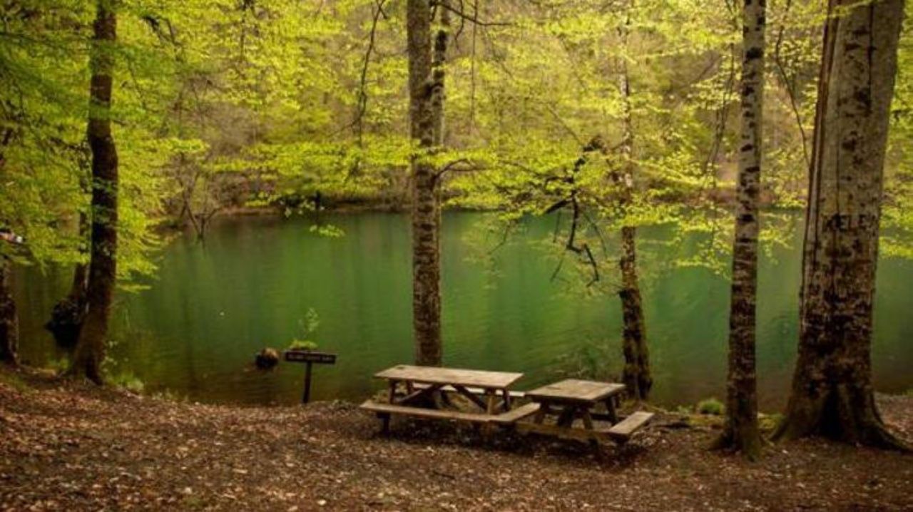Büyüleyici tabiat parkları, şifalı jeotermal suları, saraylara layık lezzetleri ve keyifli kayak merkezleriyle Bolu’da gezilecek yerler listesi! 2